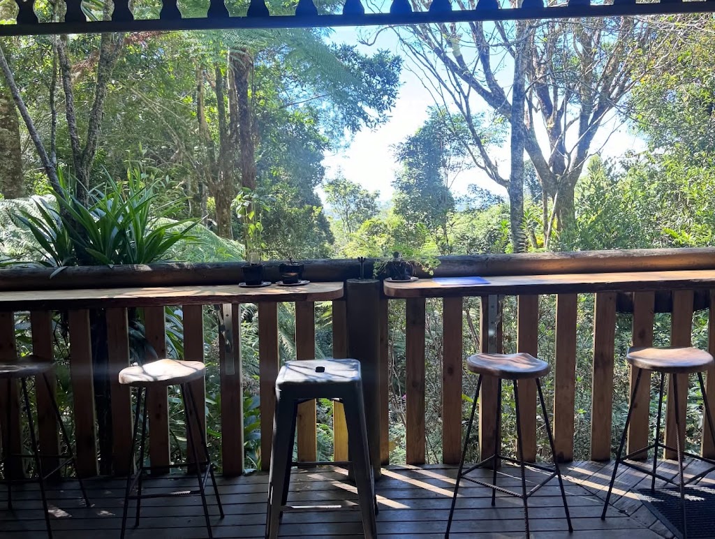 Alberts On Lyrebird | 369 Lyrebird Ridge Rd, Springbrook QLD 4213, Australia | Phone: (07) 5533 4059