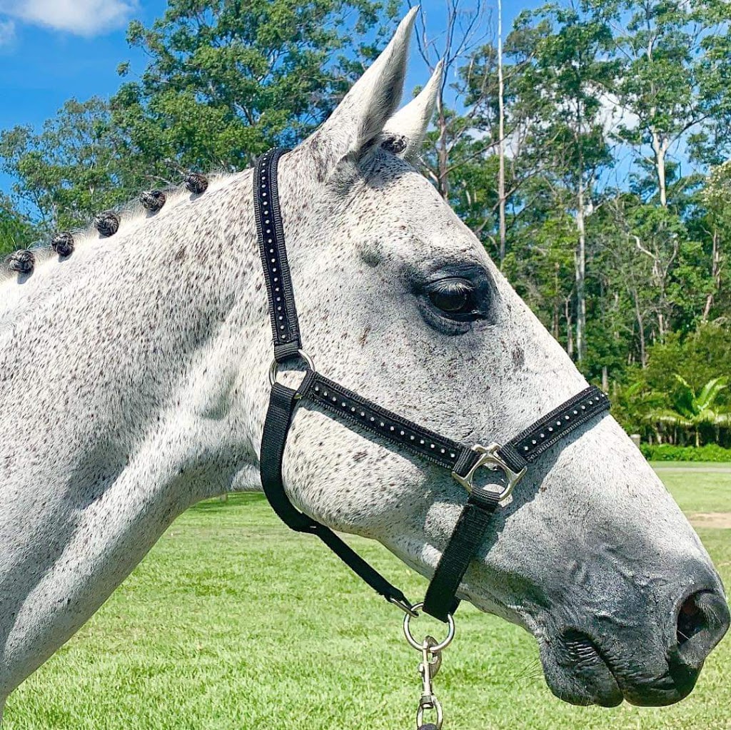 Maywood Equestrian & Horse Riding School |  | 140 Tagigan Rd, Goomboorian QLD 4570, Australia | 0423985211 OR +61 423 985 211