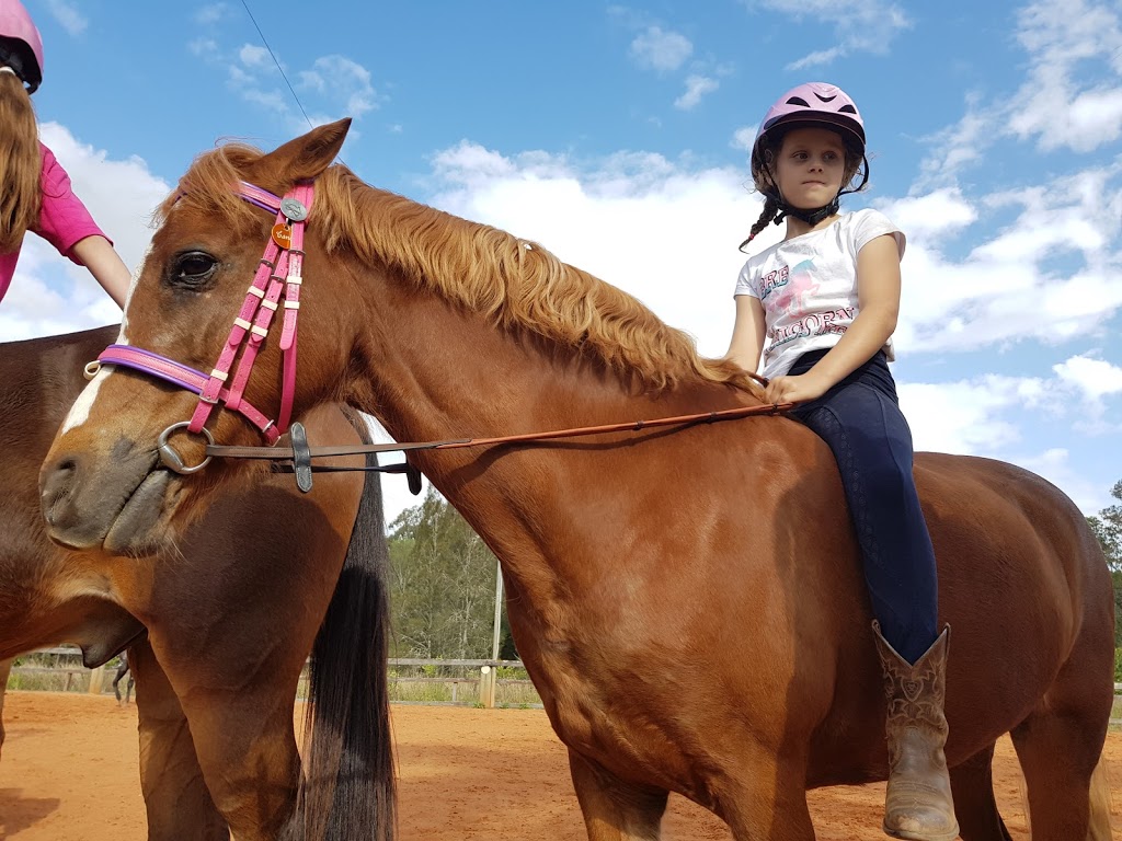 Kim Durante Riding Academy | travel agency | 43 Old Wharf Rd, Pimpama QLD 4209, Australia | 0409522342 OR +61 409 522 342