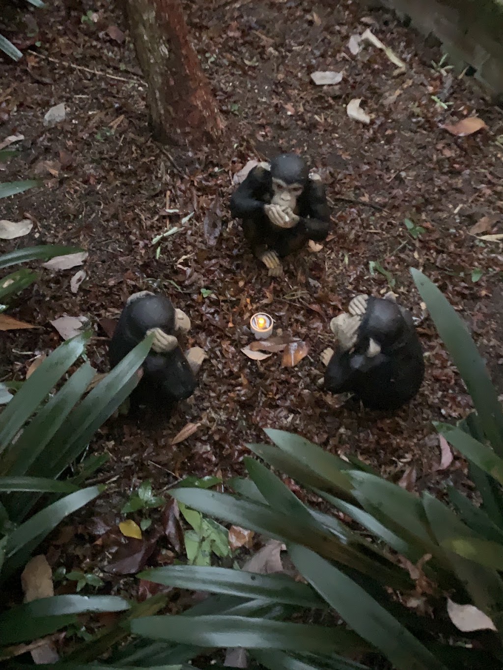 The Grove Spiritual Artist Retreat | 2 Douglas Rd, Kurrajong Heights NSW 2758, Australia | Phone: 0433 434 858