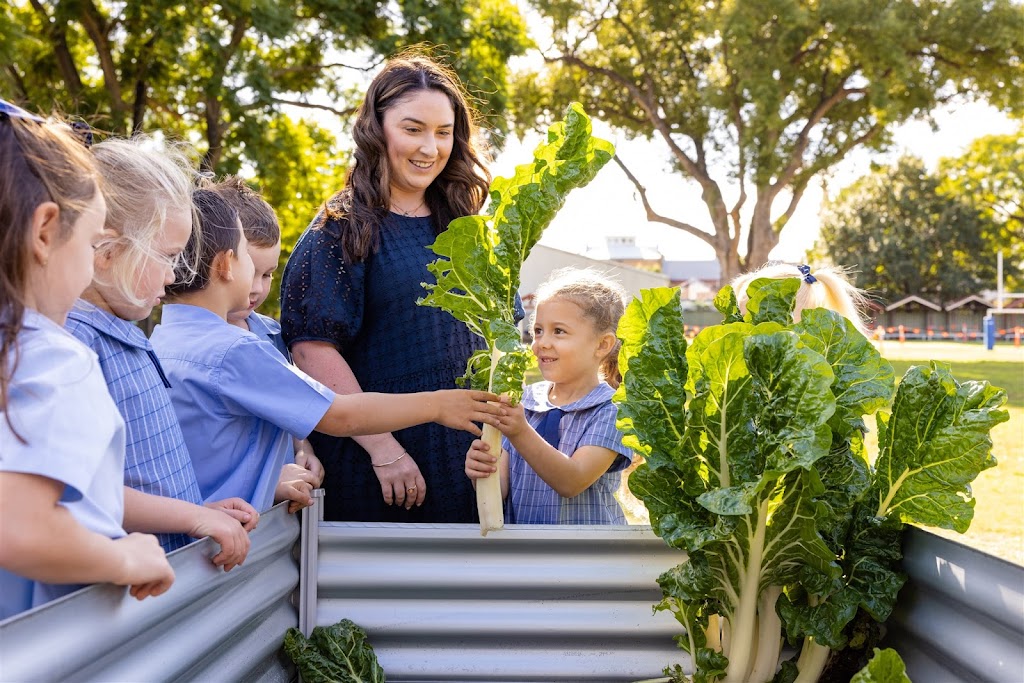 St John the Baptist Primary School | 12 Victoria St, Maitland NSW 2320, Australia | Phone: (02) 4933 5613