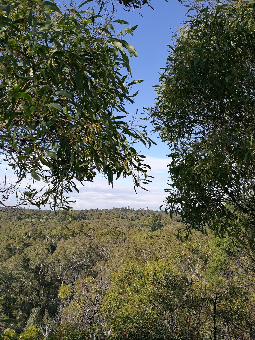 Galatea Point | Kew VIC 3101, Australia