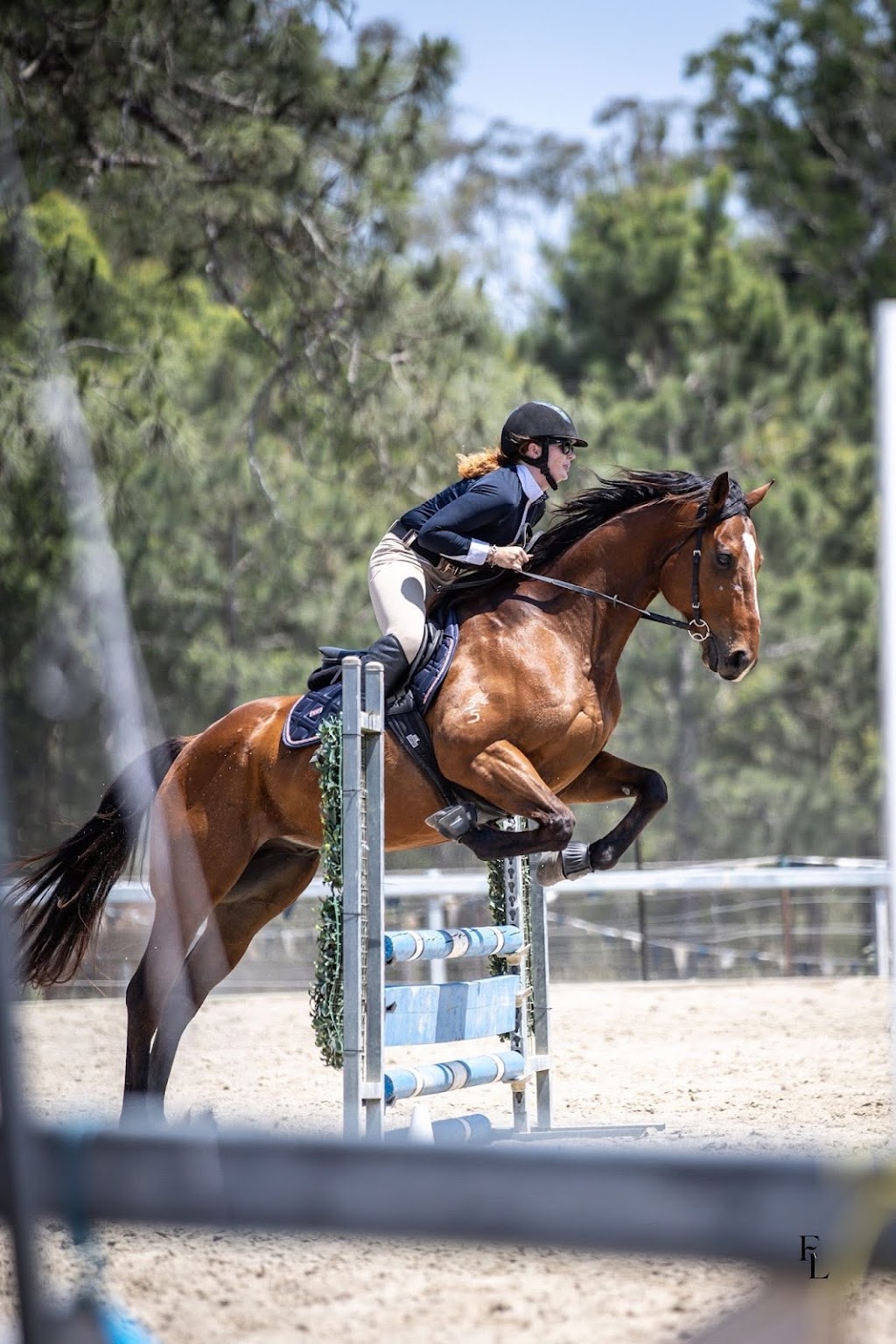 Relaxation & Wellness Horse Riding Retreat | 59 Ardwick Ct, Stanmore QLD 4514, Australia | Phone: 0402 824 149