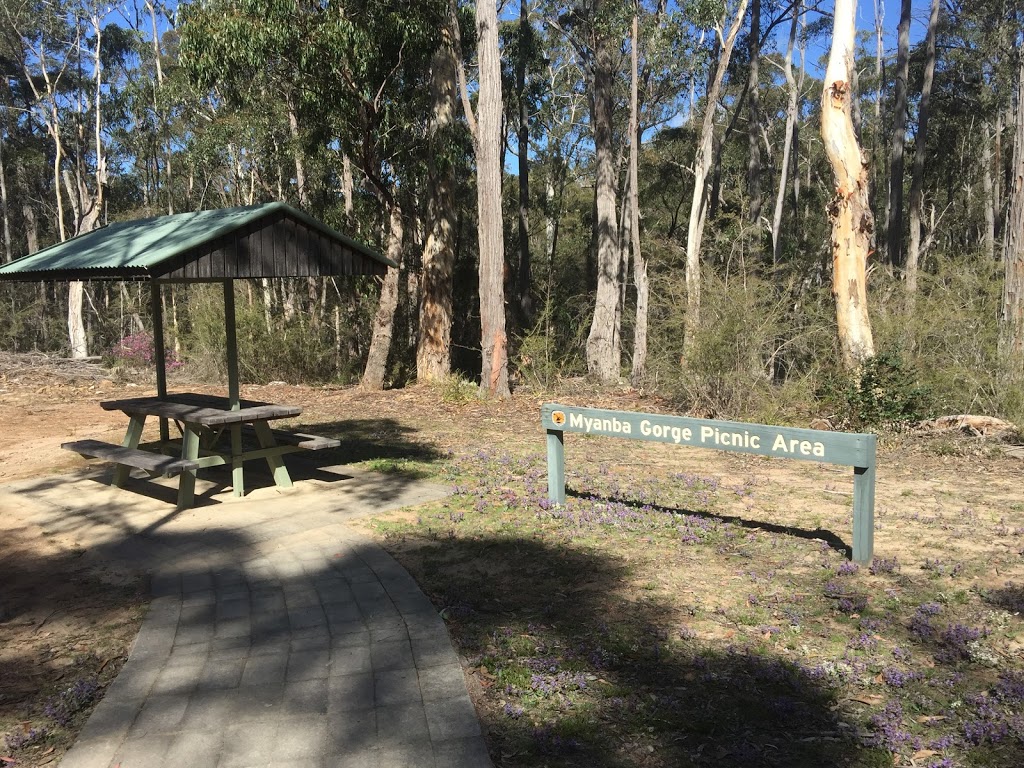 Myanba Gorge Picnic Area & Walking Track | tourist attraction | Myanba Gorge Walking Track, Coolangubra NSW 2550, Australia | 0264585900 OR +61 2 6458 5900