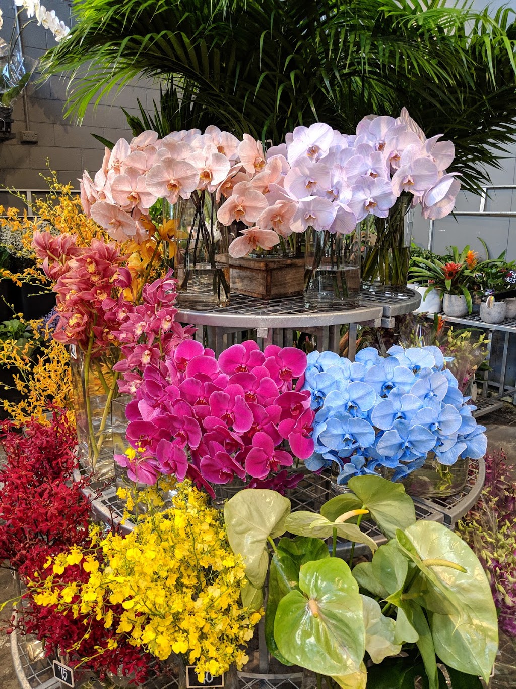 Van Gogh Flowers | florist | 2/4 Mayston St, Hawthorn East VIC 3123, Australia | 0398132300 OR +61 3 9813 2300