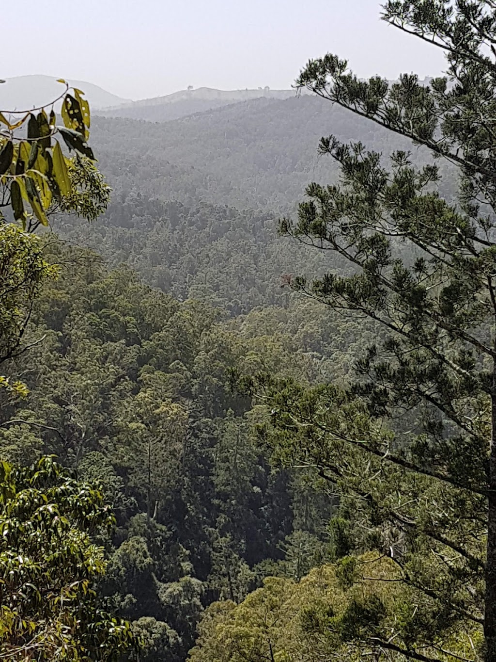 Daguilar National Park | park | Mount Glorious QLD 4520, Australia