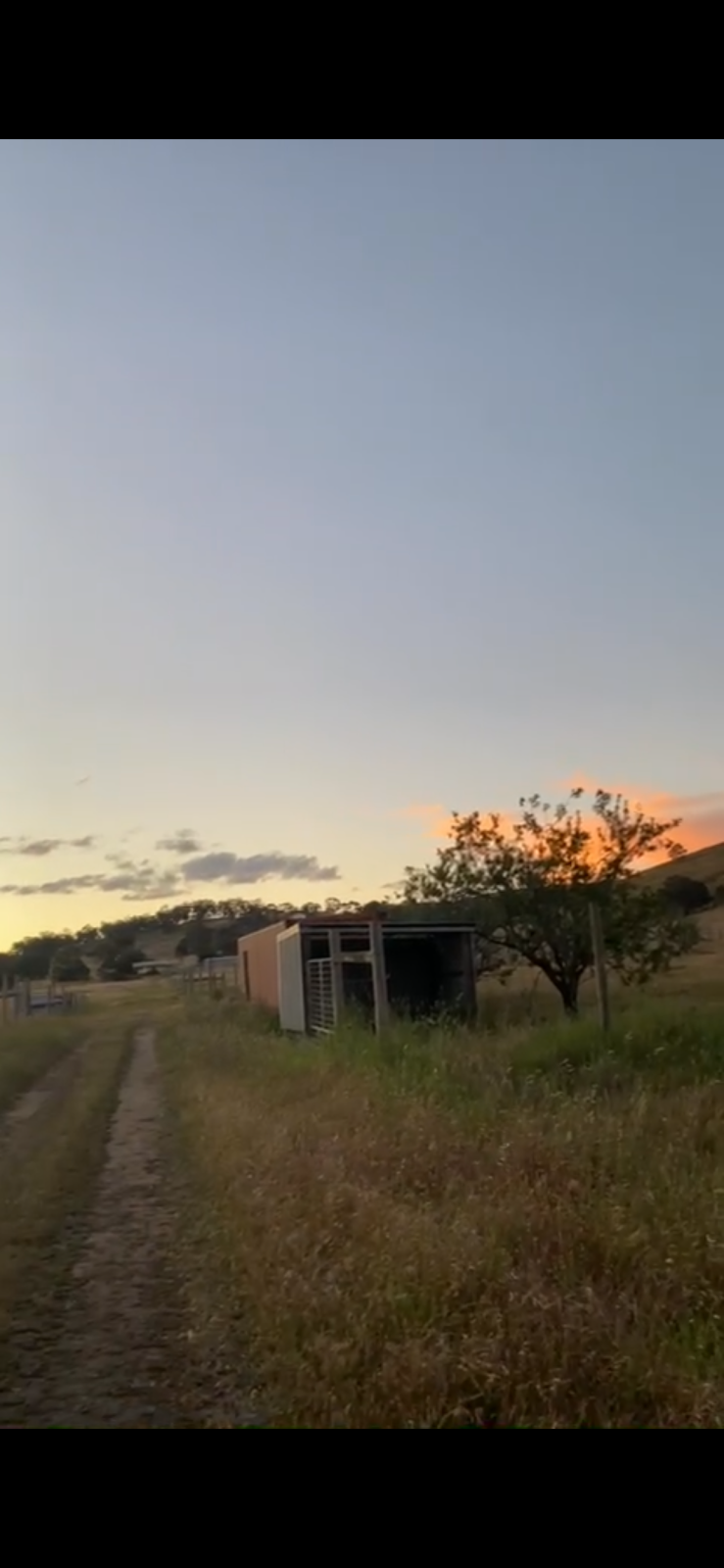 Lockwood Valley Equine | 49 Francis Rd, Lockwood South VIC 3551, Australia | Phone: 0401 572 430