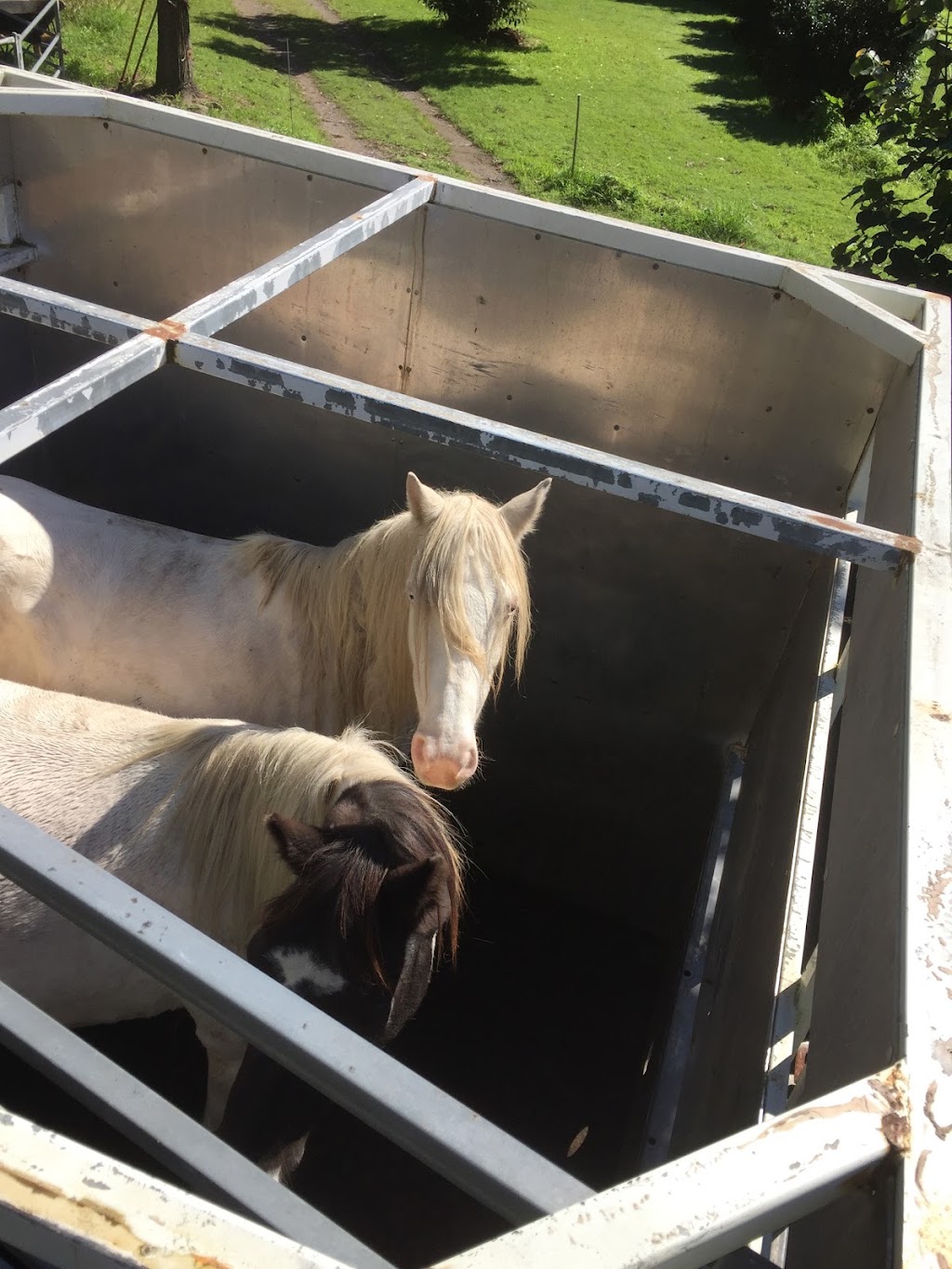 Blueys Livestock Transport | 383 Princes Hwy, Nowra NSW 2541, Australia | Phone: 0487 459 166