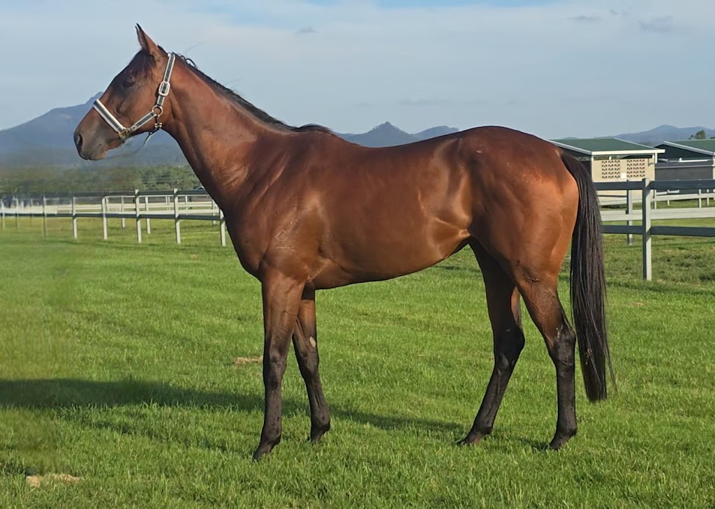 Grason Park | 1211 Middle Rd, Peak Crossing QLD 4306, Australia | Phone: 0400 480 668 Grason Park | 1211 Middle Rd, Peak Crossing QLD 4306, Australia | Phone: 0400 480 668