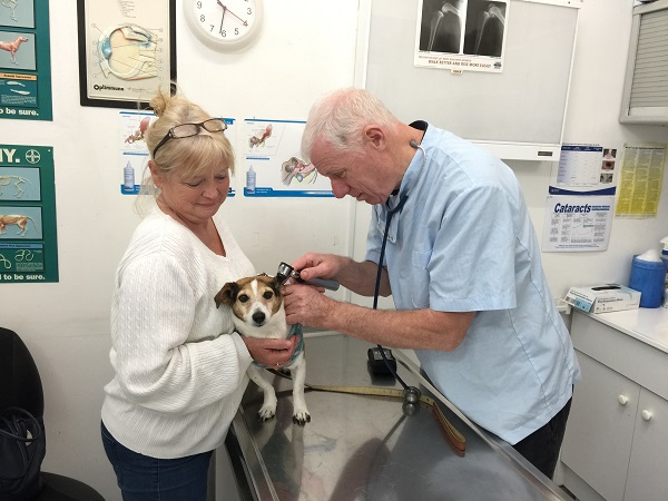 Glenroy Vet Clinic | veterinary care | 125 Wheatsheaf Rd, Glenroy VIC 3046, Australia | 0393001099 OR +61 3 9300 1099