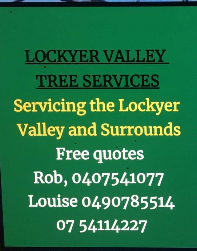 Lockyer Valley Tree Services | 6 Wren Ct, Regency Downs QLD 4341, Australia | Phone: 0407 541 077