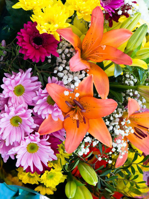 Montrose Fruit Basket | florist | 930 Mount Dandenong Tourist Rd, Montrose VIC 3765, Australia | 0397619344 OR +61 3 9761 9344