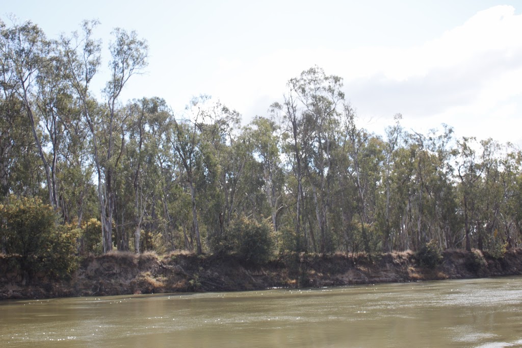 Cobba Paddleboat Cruises | Rockarama Rd, Cobram VIC 3644, Australia | Phone: 0457 033 217