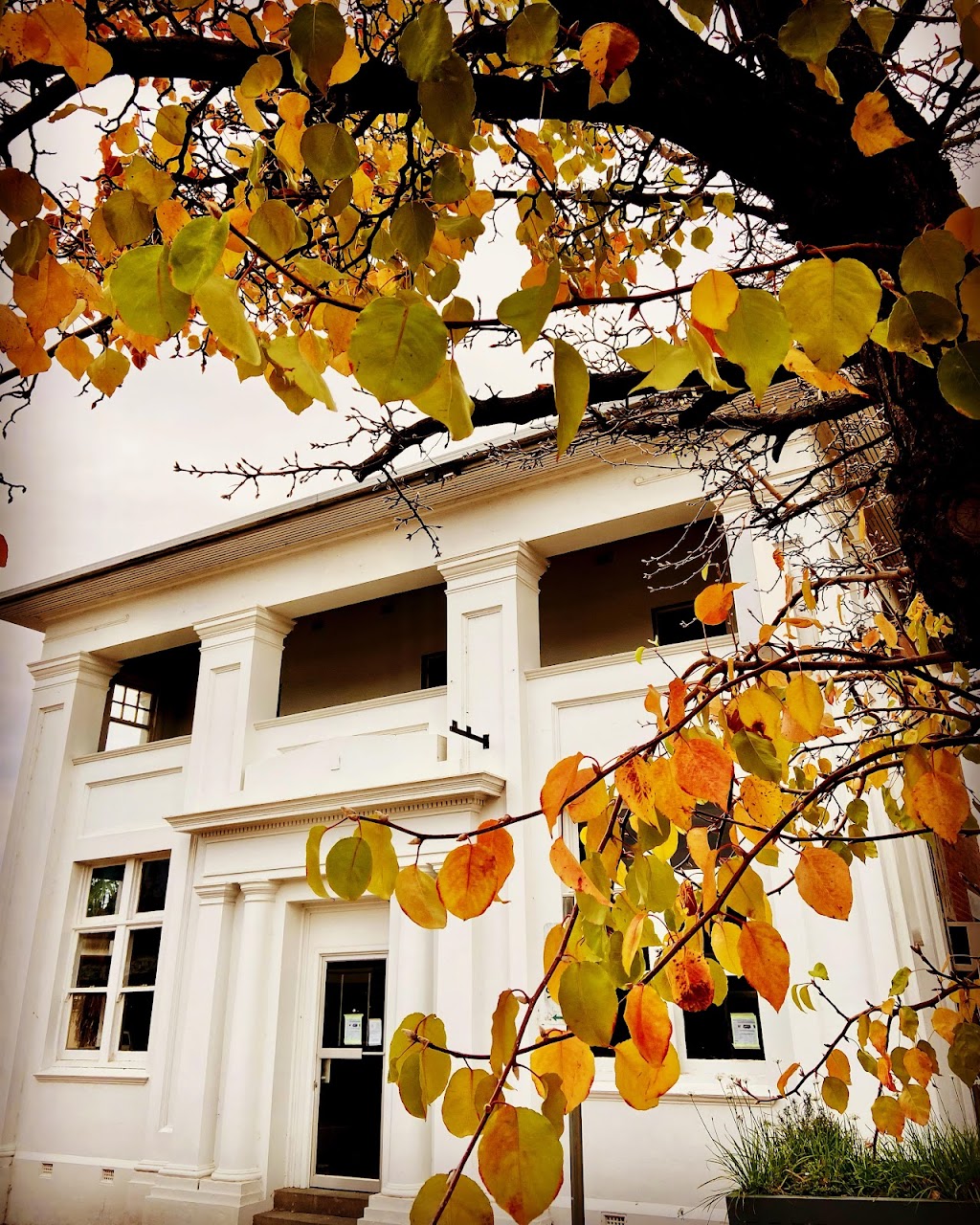 Upper Murray Providore | 14-16 Hanson St, Corryong VIC 3707, Australia | Phone: 0432 834 522