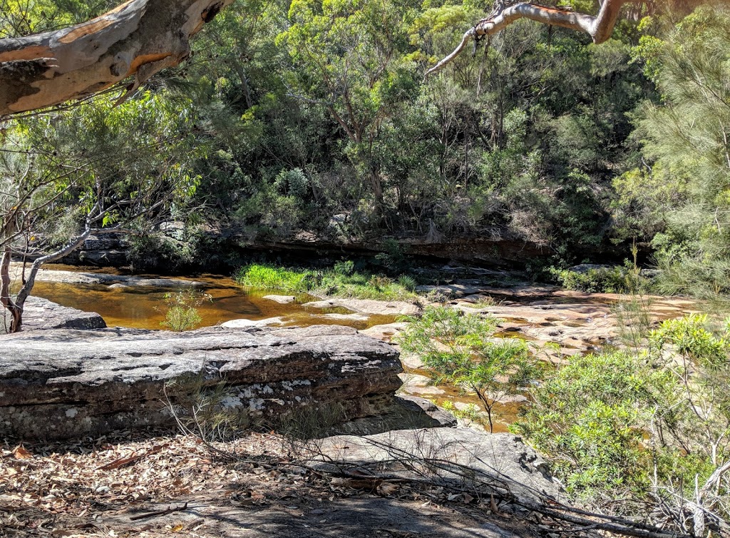 The Cascades | park | Belrose NSW 2085, Australia