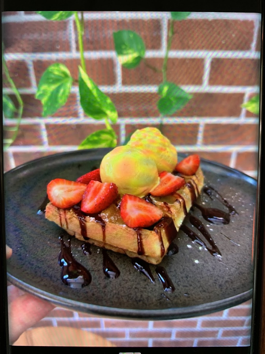 Cafe @ Hansford Flowers | 58 Hansford Rd, Coombabah QLD 4216, Australia | Phone: (07) 5529 6334