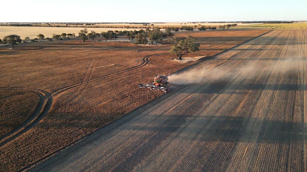 Hillview Machinery | 14 Cumming Ave, Birchip VIC 3483, Australia | Phone: 0461 492 601