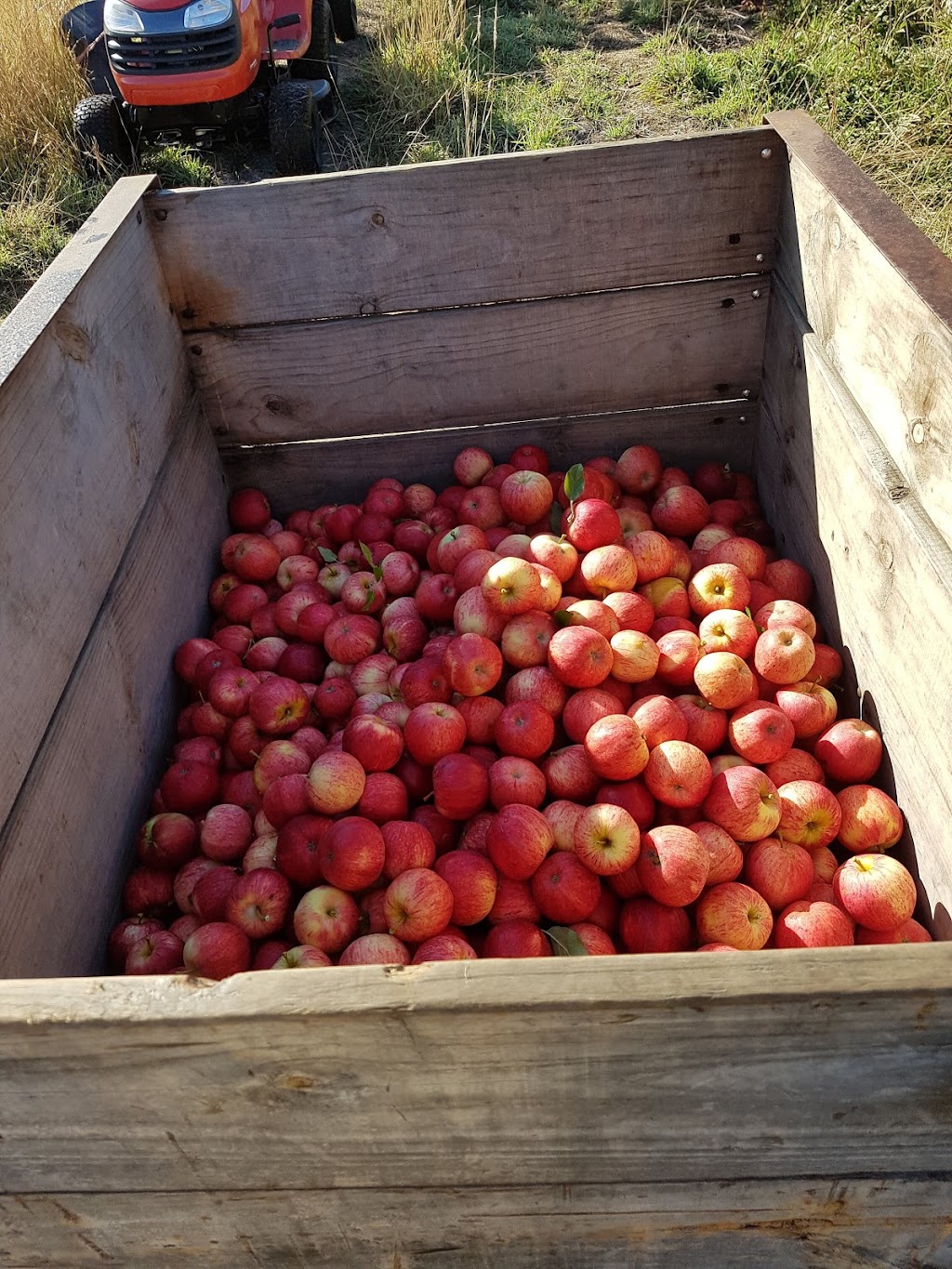 Muddy Creek Apples | 23 Muddy Creek Rd, Legana TAS 7277, Australia | Phone: 0419 540 330