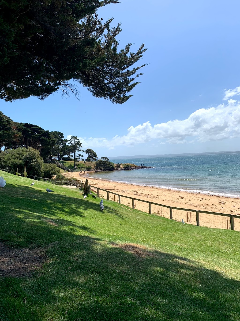 Cowes Beach | The Esplanade, Cowes VIC 3922, Australia | Phone: (03) 9676 6900