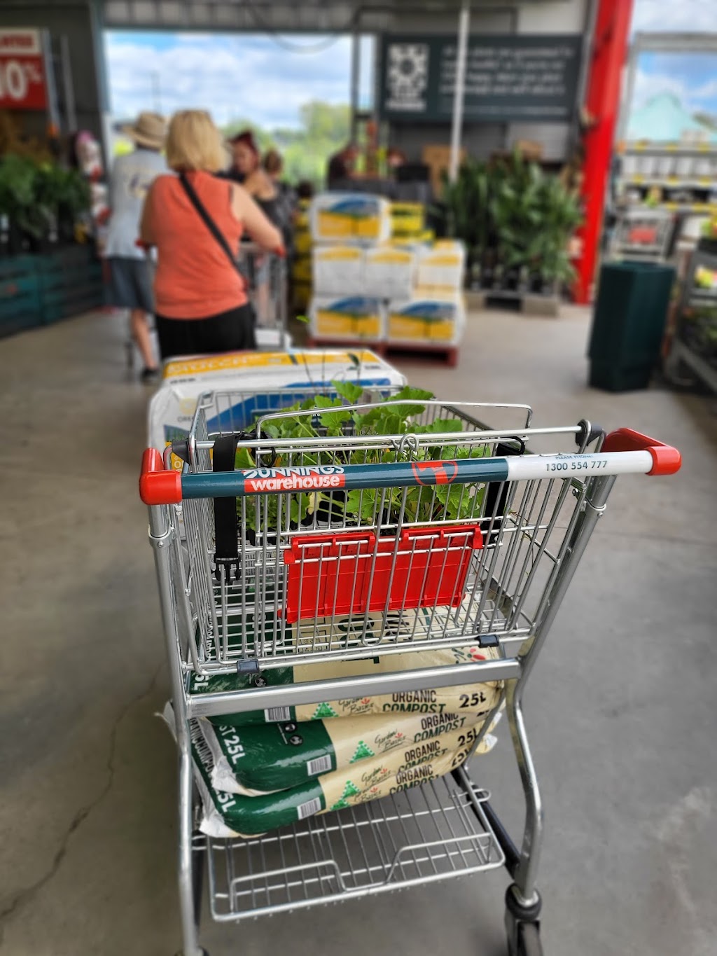 Bunnings Caboolture | 459 Pumicestone Rd, Caboolture QLD 4510, Australia | Phone: (07) 5420 2200