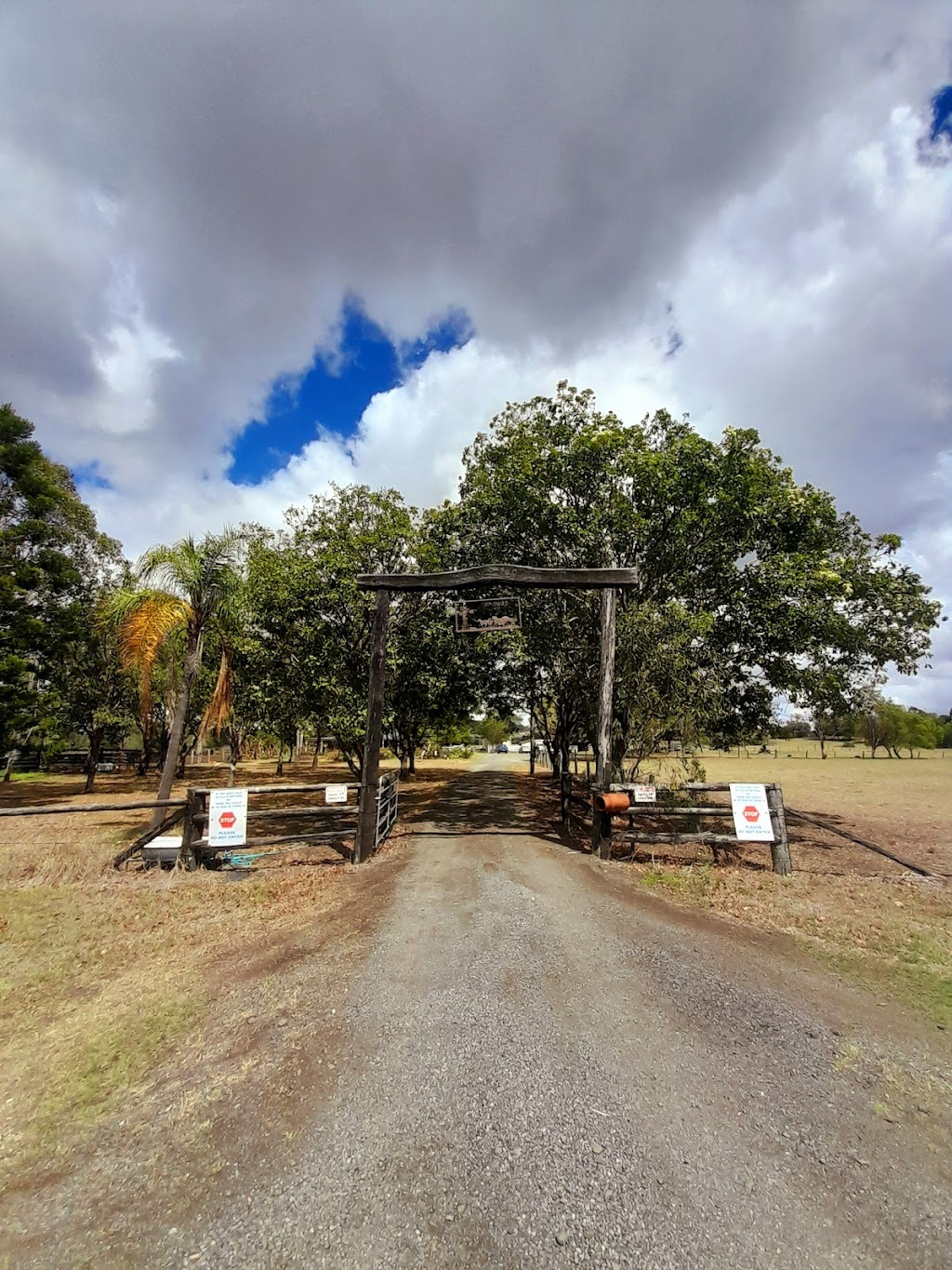 Ability 2 discover | 758 Rosewood Marburg Rd, Marburg QLD 4346, Australia | Phone: 0438 767 974