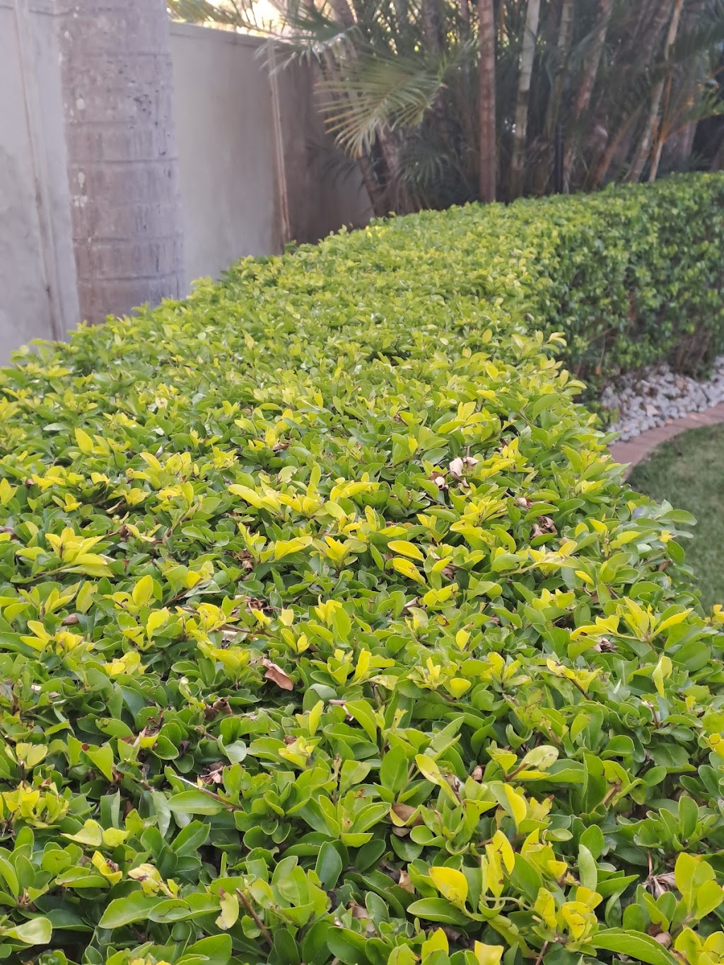 Lawrance Mowing and Maintenance | 11A Holmes St, North Ipswich QLD 4305, Australia | Phone: 0450 746 308