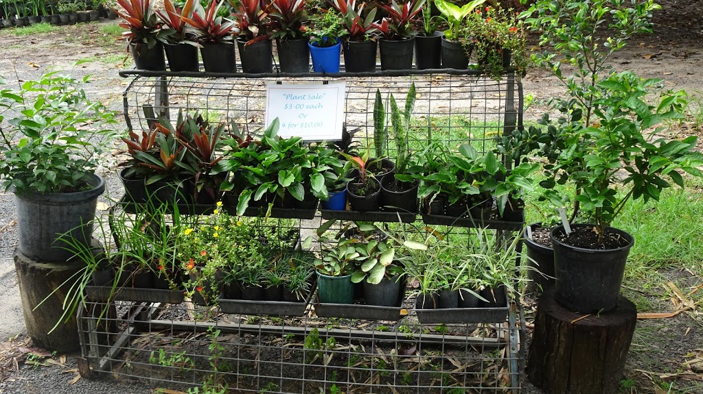 rainbow beach rd nursery | 15 Rainbow Beach Rd, Toolara Forest QLD 4570, Australia | Phone: 0476 076 862