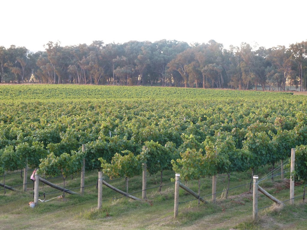Kooyonga Creek Winery | 2369 Samaria Rd, Moorngag VIC 3673, Australia | Phone: (03) 5768 2477