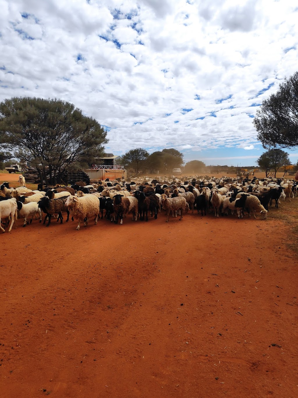 Melangata Station Stay | Melangata Rd, Yalgoo WA 6635, Australia | Phone: (08) 9963 7777