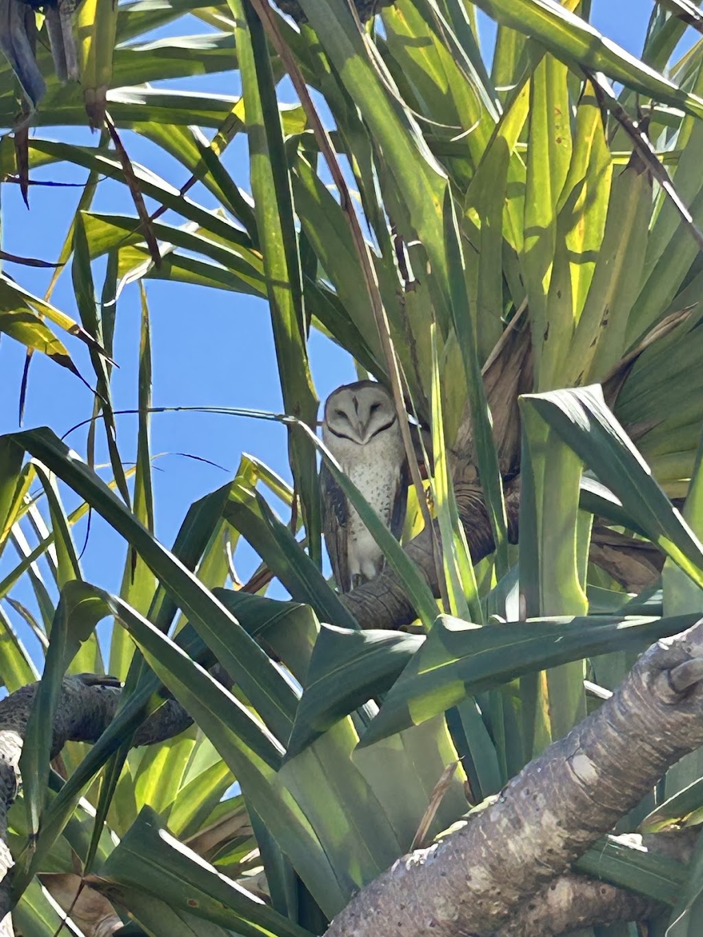 Pepos Gardens | 139 Possum Creek Rd, Bangalow NSW 2479, Australia | Phone: 0413 406 597