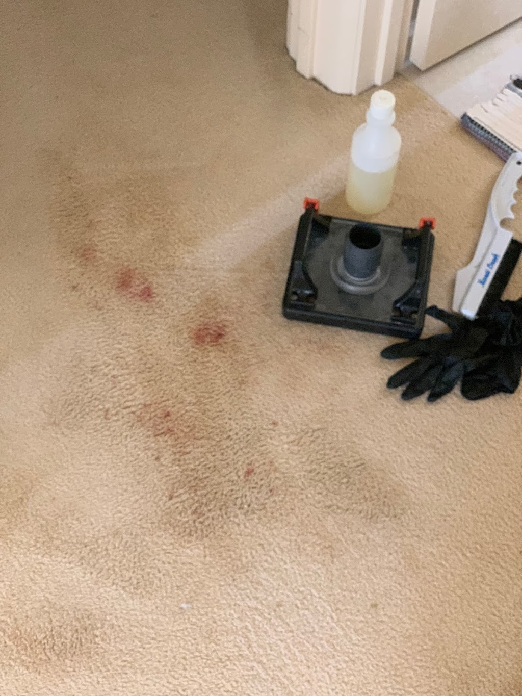 Radius Carpet & Tile Cleaning | laundry | 21 Red Oak Terrace, Lyndhurst VIC 3975, Australia | 0478019109 OR +61 478 019 109