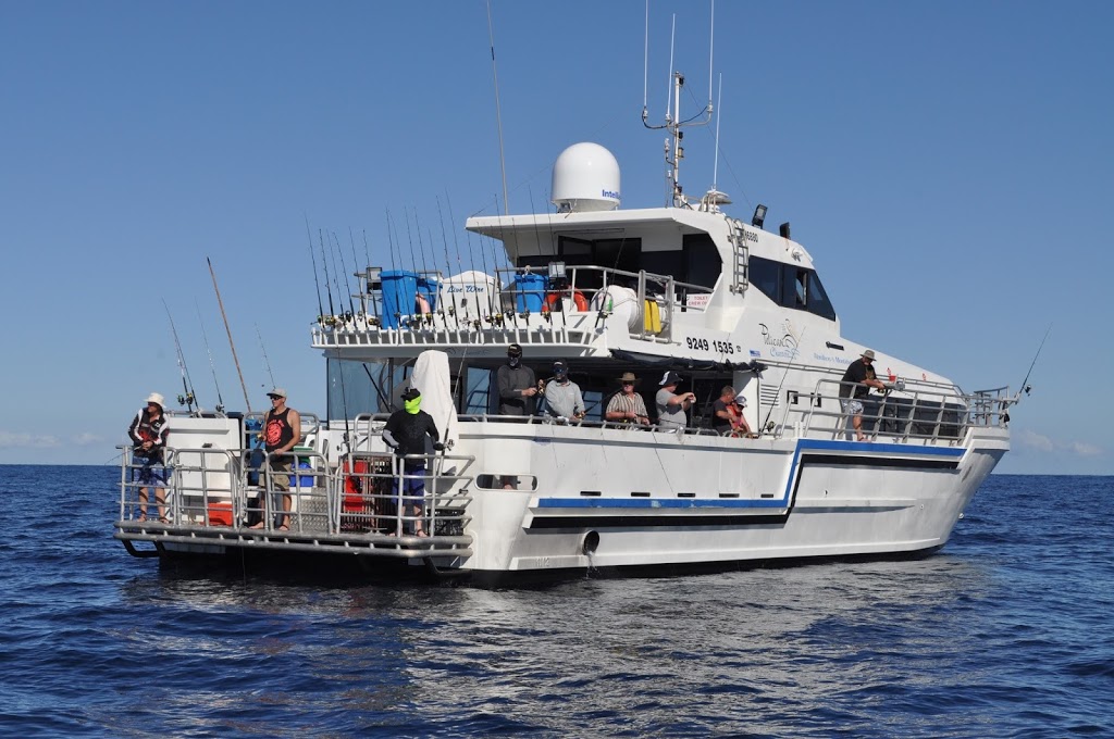 Pelican charters | Abrolhos islands | travel agency | 61 Connell Rd, West End WA 6530, Australia | 0892491535 OR +61 8 9249 1535