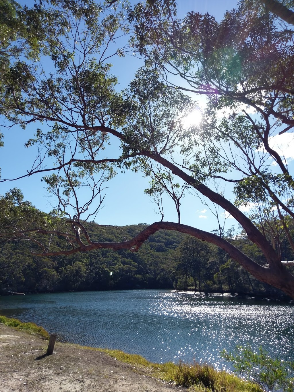 Willow Tree Flat picnic area Royal National Park NSW 2233, Australia