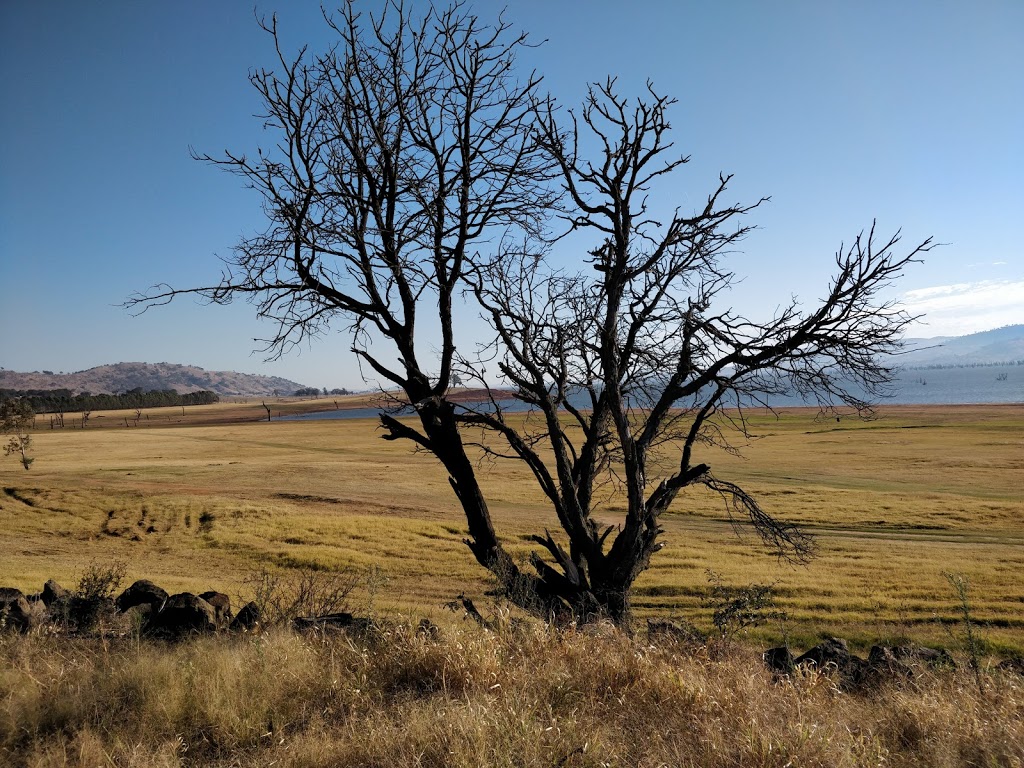 Huon Reserve | park | Huon VIC 3695, Australia