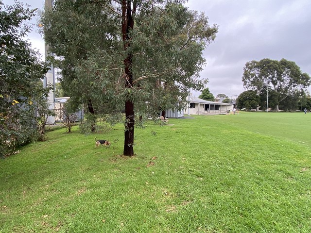 Waverley Park Dog Off Leash Area | 1 Sylvester Cres, Malvern East VIC 3145, Australia | Phone: 0408 114 414