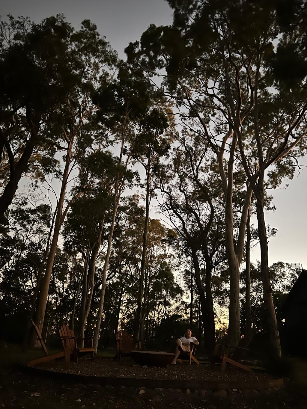 Twig + Wren Wilderness Retreat | 541 Moonabung Rd, Vacy NSW 2421, Australia | Phone: 0407 658 116