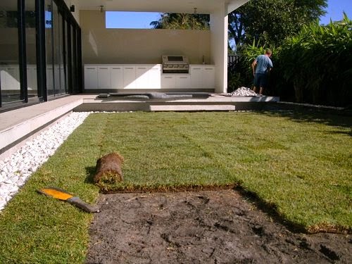 Ace Turf and Trees |  | Reiser Ln, Boyland QLD 4275, Australia | 0417001984 OR +61 417 001 984