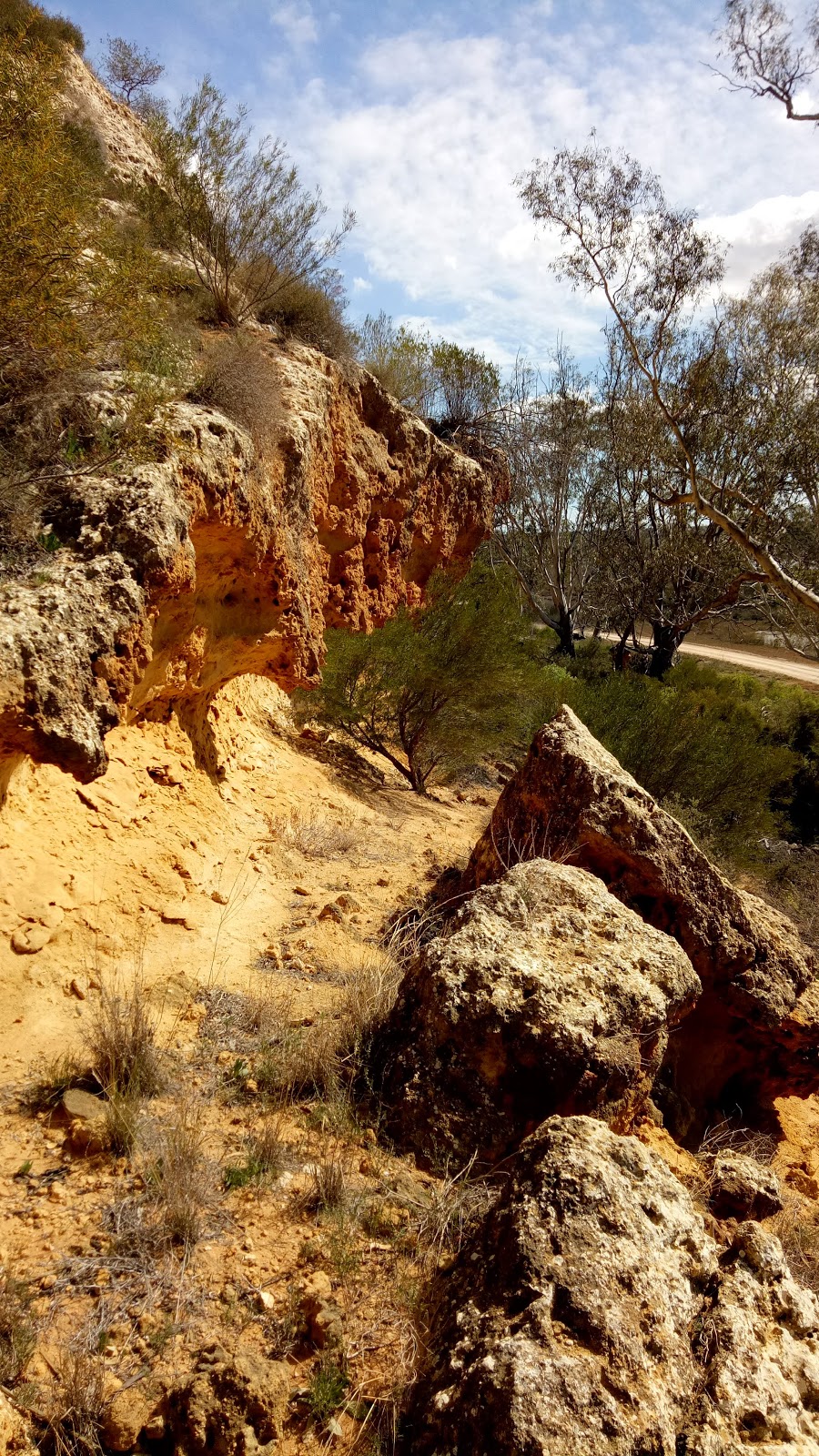 Ngaut Ngaut | park | Nildottie SA 5238, Australia