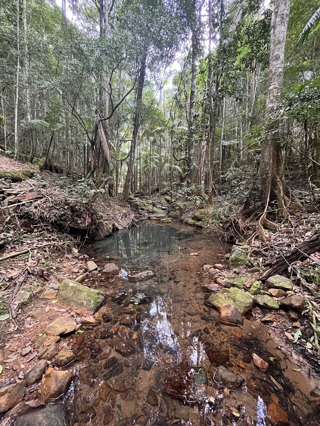 Retreat On Deakin | 808 Deakin Ave, Mildura VIC 3500, Australia | Phone: 0437 101 756