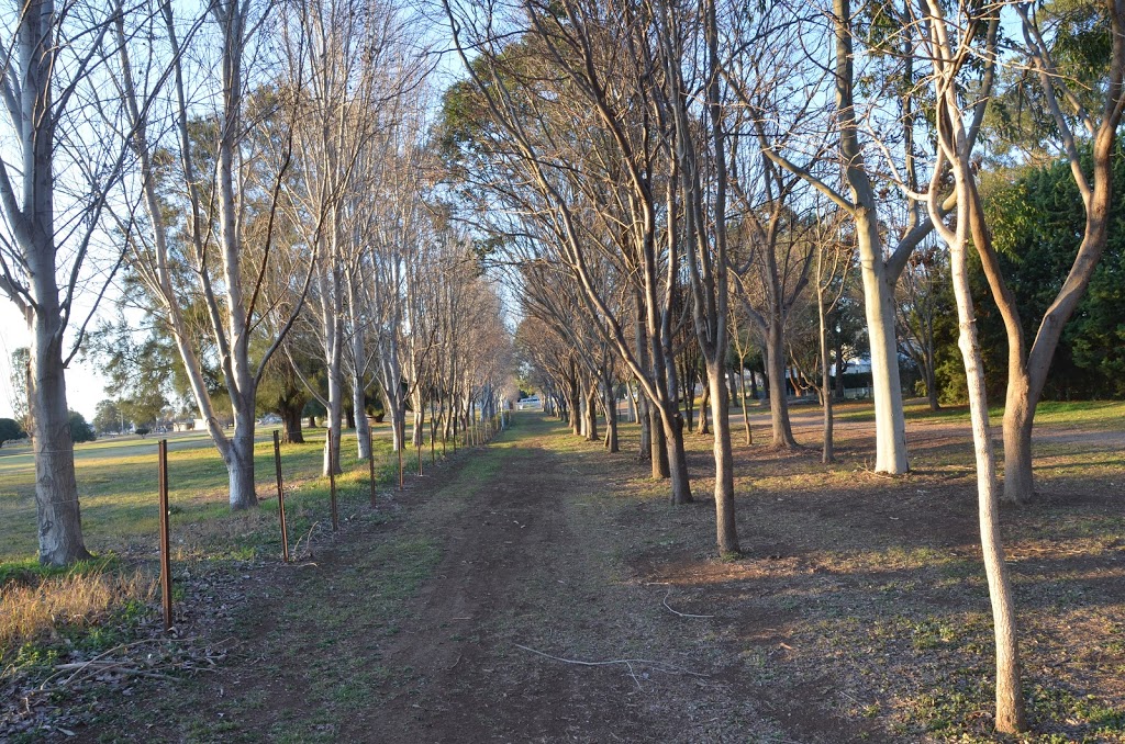 Aberdeen Bowling Club |  | Jefferson Park, New England Highway, Aberdeen NSW 2336, Australia | 0265437226 OR +61 2 6543 7226