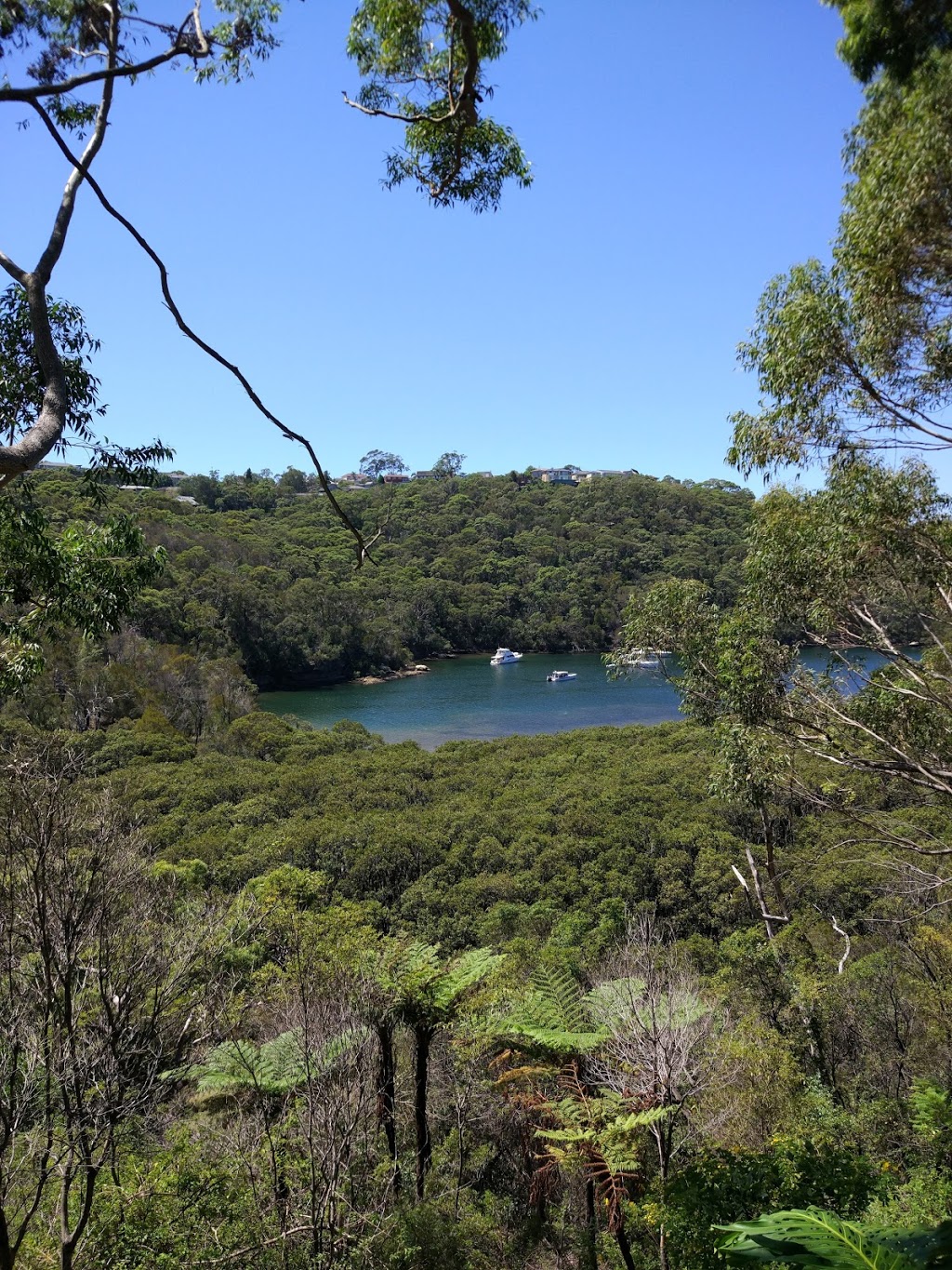 North Arm Walking Track | park | 30 N Arm Rd, Middle Cove NSW 2068, Australia | 0297771000 OR +61 2 9777 1000