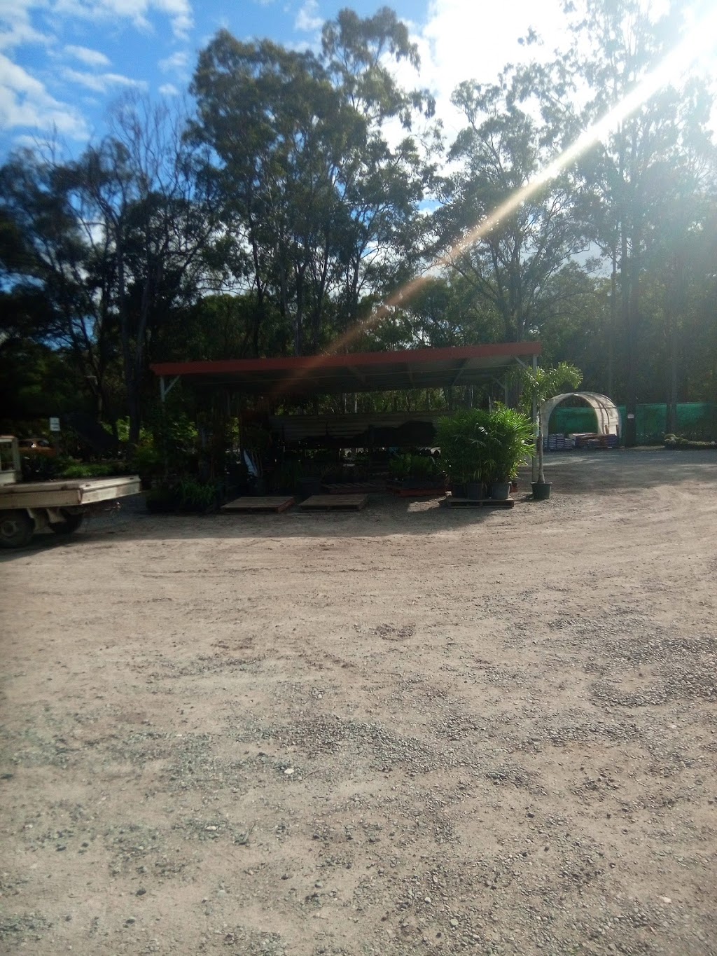 Barellan Nursery |  | 474 Yawalpah Rd, Coomera QLD 4209, Australia | 0755476295 OR +61 7 5547 6295