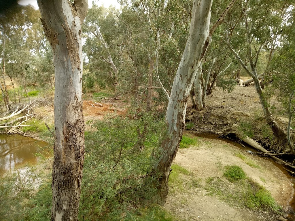 Trays Mowing and Gardening | Arlington Park Ave, Wangaratta VIC 3677, Australia | Phone: 0448 872 668