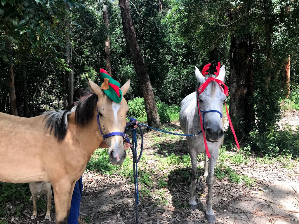 AAA Horse Riding & More | travel agency | 252 Mount Nellinda Rd, Cooranbong NSW 2265, Australia | 0410409776 OR +61 410 409 776