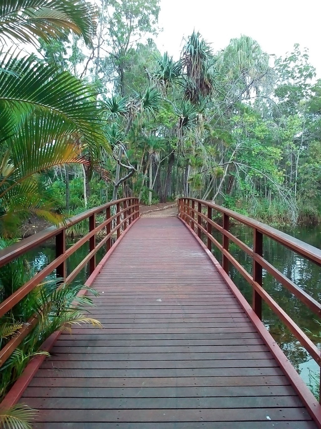 Hervey Bay Botanic Gardens | park | 62-105 Elizabeth St, Urangan QLD 4655, Australia | 0741259700 OR +61 7 4125 9700