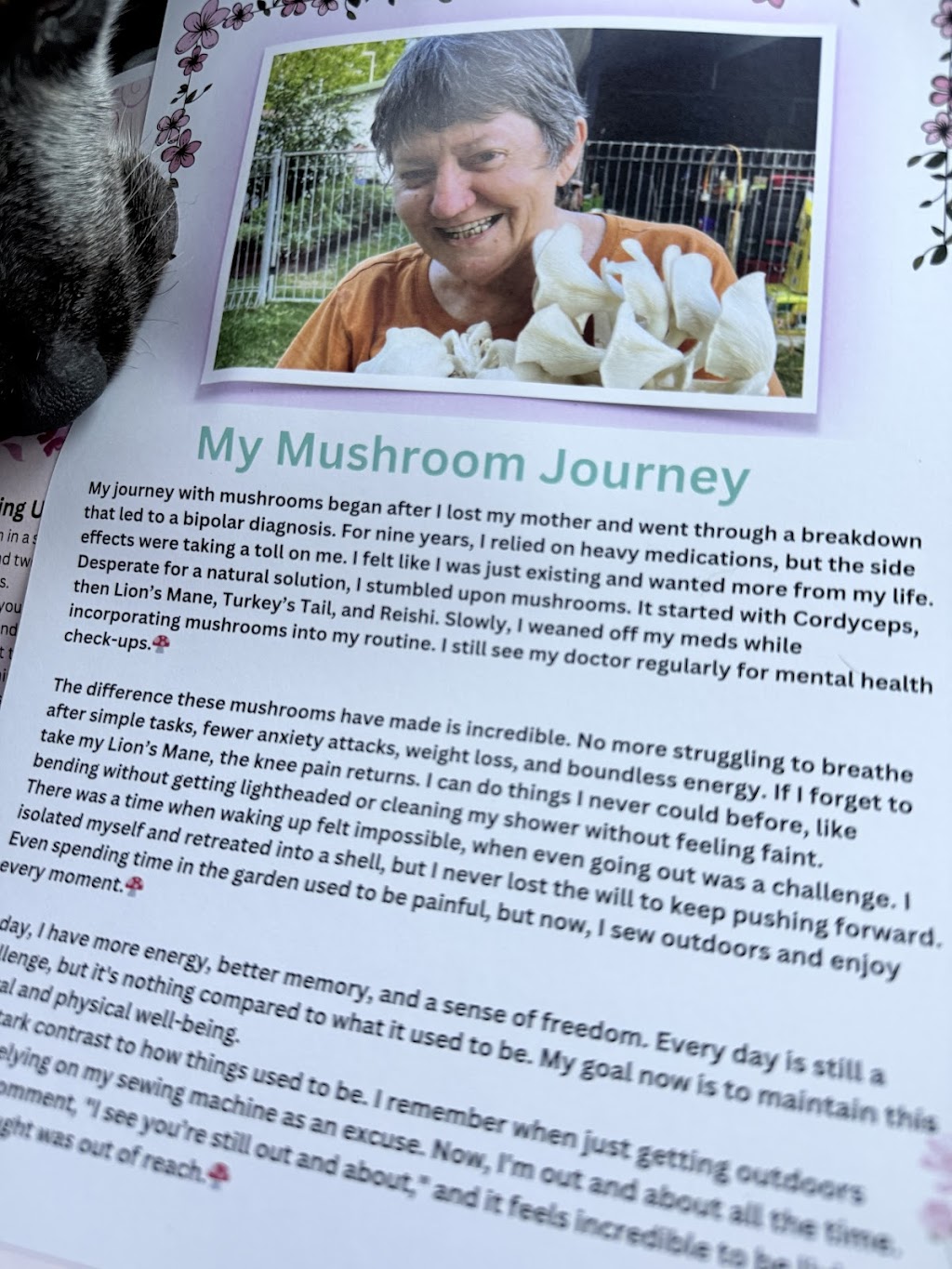 Mighty Fungi | 92651 Bruce Hwy, Balberra QLD 4740, Australia | Phone: 0404 624 956