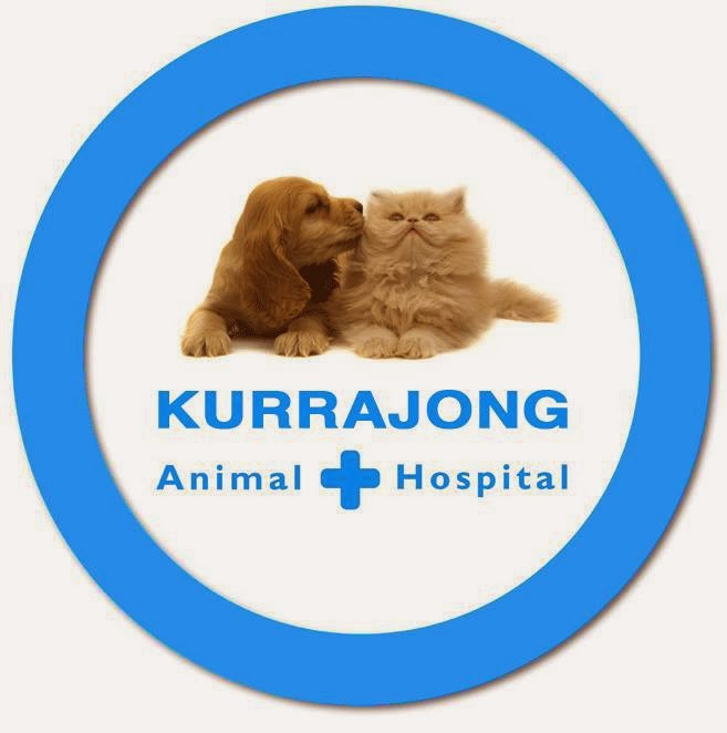 Kurrajong Veterinary Clinic | veterinary care | 16 Old Bells Line of Rd, Kurrajong NSW 2758, Australia | 0245731216 OR +61 2 4573 1216