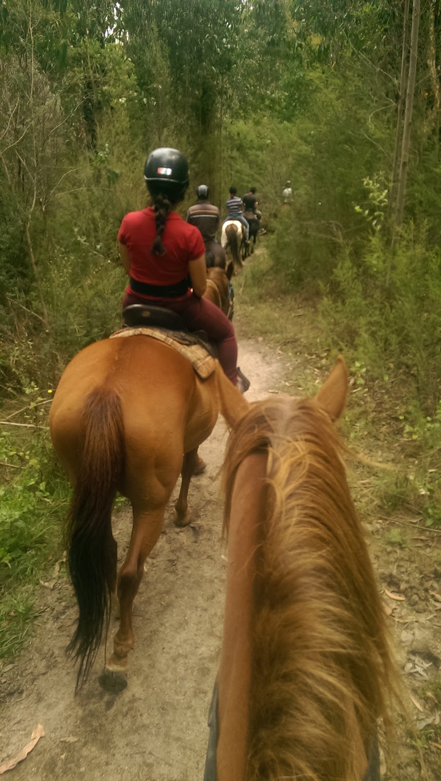 Uncle Nevs Trail Riding | travel agency | 1115 Wallan-Whittlesea Rd, Upper Plenty VIC 3756, Australia | 0357834617 OR +61 3 5783 4617