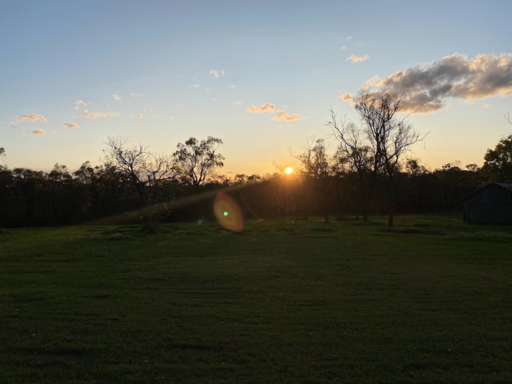 Bee Point Hill Farm | 160 Carrs Rd, Wilberforce NSW 2756, Australia | Phone: 0451 451 341