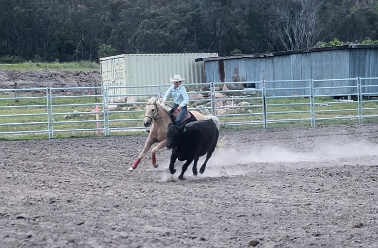 Yeramba Park Performance Horses | 1199 Eukey Rd, Eukey QLD 4380, Australia | Phone: 0474 858 405 Yeramba Park Performance Horses | 1199 Eukey Rd, Eukey QLD 4380, Australia | Phone: 0474 858 405